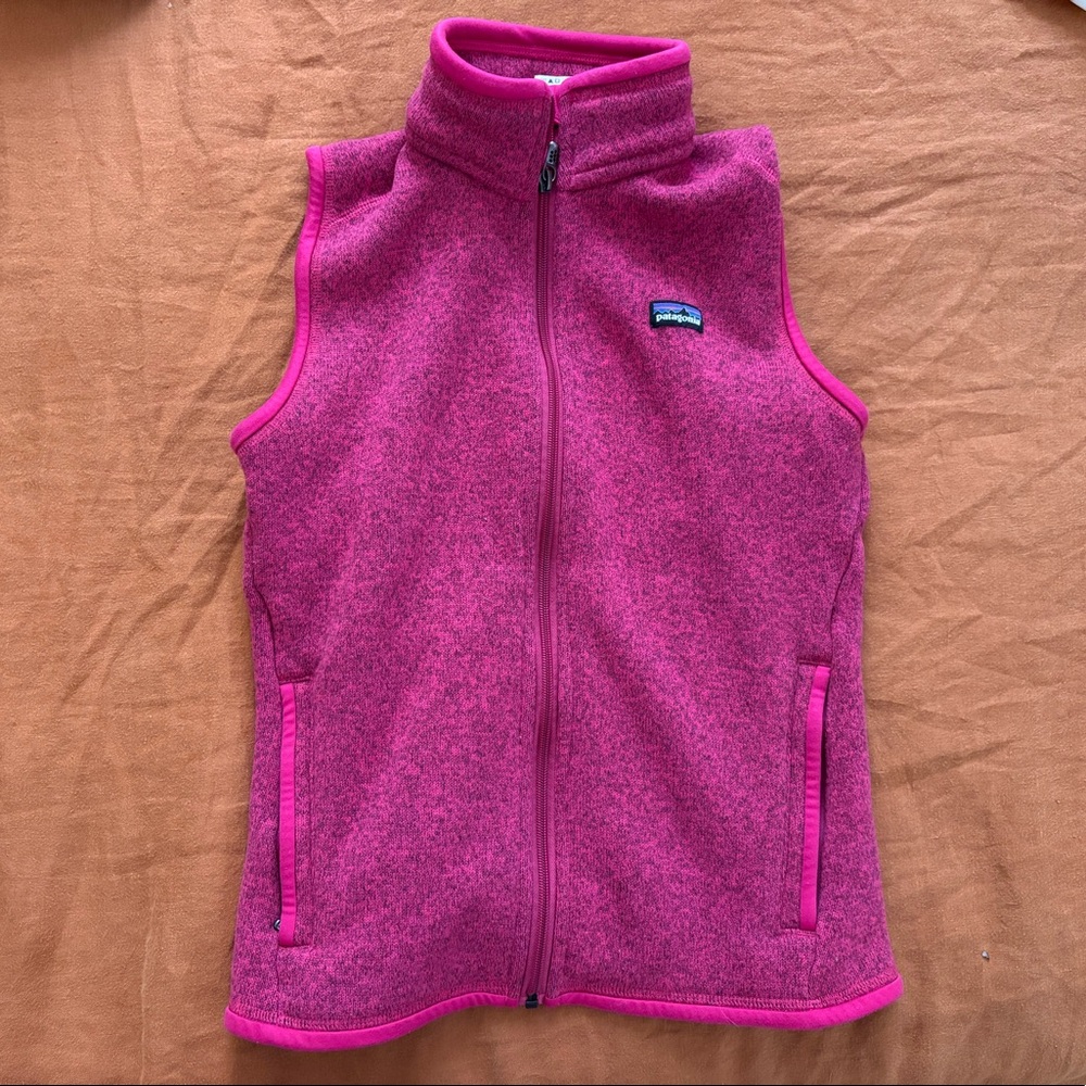 Patagonia Better Sweater Fleece Vest